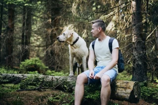 توریست با سگ در جنگل